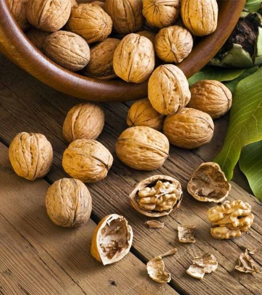 Orzechy włoskie – paliwo dla mózgu